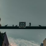 saudi arabia s top law firms